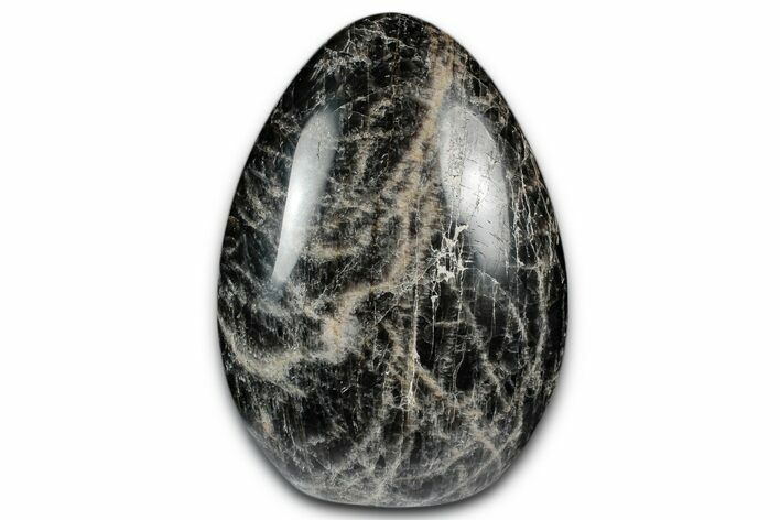 Polished Free-Standing Black Moonstone - Madagascar #348962